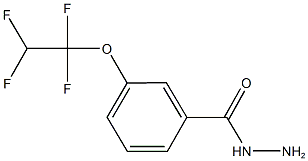 3-(1,1,2,2-TETRAFLUOROETHOXY)BENZOHYDRAZIDE Structure