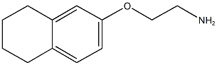 2-(5,6,7,8-tetrahydro-2-naphthalenyloxy)ethylamine Structure