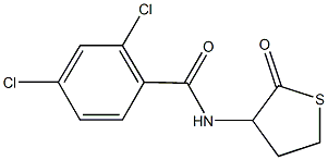 2,4-dichloro-N-(2-oxotetrahydro-3-thienyl)benzamide 구조식 이미지