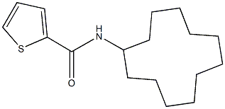 N-cyclododecyl-2-thiophenecarboxamide 구조식 이미지