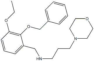 N-[2-(benzyloxy)-3-ethoxybenzyl]-N-[3-(4-morpholinyl)propyl]amine 구조식 이미지