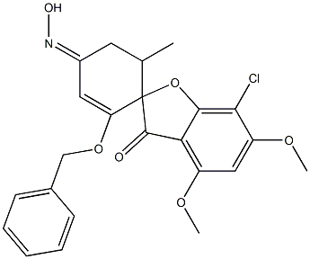 GF-61 Structure