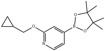 2-(cyclopropylmethoxy)-4-(4,4,5,5-tetramethyl-1,3,2-dioxaborolan-2-yl)pyridine Structure