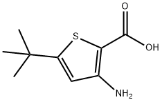 2-Thiophenecarboxylicacid,3-amino-5-(1,1-dimethylethyl)-(9CI) 구조식 이미지