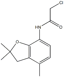 2-chloro-N-(2,2,4-trimethyl-2,3-dihydro-1-benzofuran-7-yl)acetamide 구조식 이미지