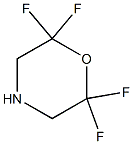 2,2,6,6-TETRAFLUOROMORPHOLINE Structure