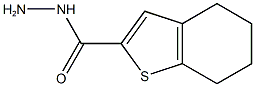 4,5,6,7-TETRAHYDRO-1-BENZOTHIOPHENE-2-CARBOHYDRAZIDE 구조식 이미지