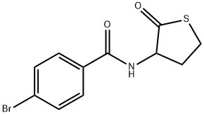 4-bromo-N-(2-oxothiolan-3-yl)benzamide 구조식 이미지