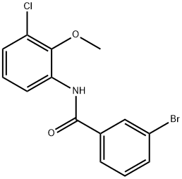3-bromo-N-(3-chloro-2-methoxyphenyl)benzamide Structure