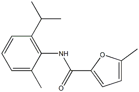 5-methyl-N-(2-methyl-6-propan-2-ylphenyl)furan-2-carboxamide 구조식 이미지