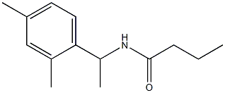 N-[1-(2,4-dimethylphenyl)ethyl]butanamide Structure