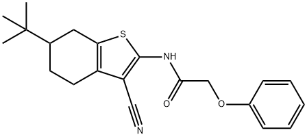 N-(6-tert-butyl-3-cyano-4,5,6,7-tetrahydro-1-benzothiophen-2-yl)-2-phenoxyacetamide Structure