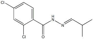 2,4-dichloro-N-[(E)-2-methylpropylideneamino]benzamide 구조식 이미지