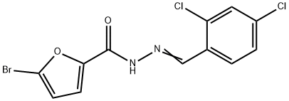 5-bromo-N-[(E)-(2,4-dichlorophenyl)methylideneamino]furan-2-carboxamide Structure