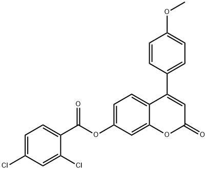 [4-(4-methoxyphenyl)-2-oxochromen-7-yl] 2,4-dichlorobenzoate 구조식 이미지