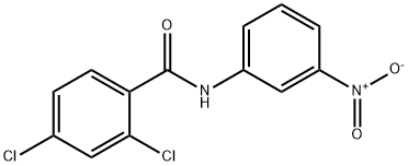 2,4-dichloro-N-(3-nitrophenyl)benzamide 구조식 이미지