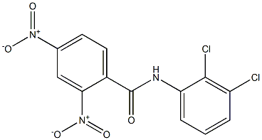 N-(2,3-dichlorophenyl)-2,4-dinitrobenzamide 구조식 이미지