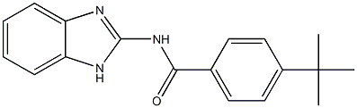 N-(1H-benzimidazol-2-yl)-4-tert-butylbenzamide Structure