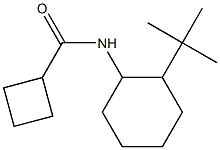 N-(2-tert-butylcyclohexyl)cyclobutanecarboxamide Structure