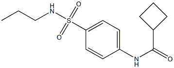 N-[4-(propylsulfamoyl)phenyl]cyclobutanecarboxamide 구조식 이미지