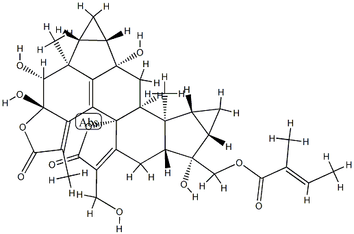 ChloraMultilide D Structure