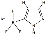 Potassium 1H-pyrazole-3-trifluoroborate 구조식 이미지