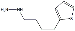 1-[4-(thiophen-2-yl)butyl]hydrazine 구조식 이미지