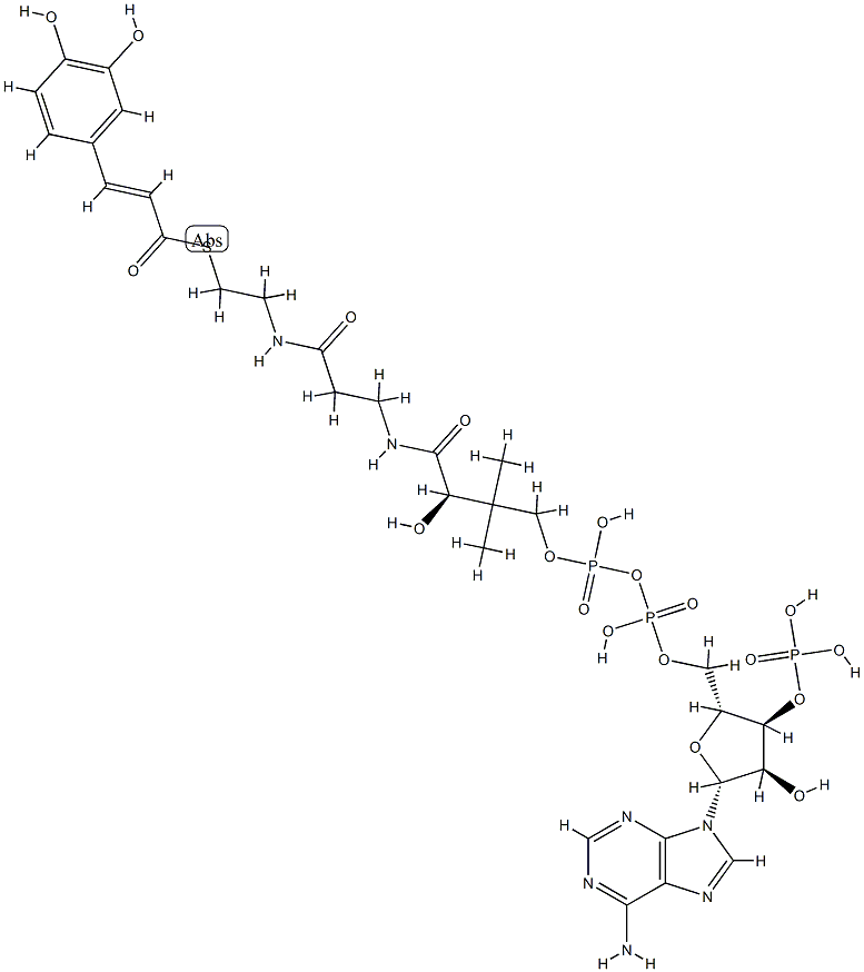 trans-caffeoyl-CoA 구조식 이미지