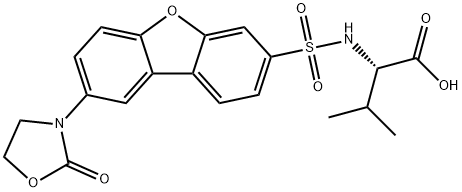 MMP145 Structure