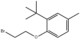 1-(2-bromoethoxy)-2-tert-butyl-4-methylbenzene Structure