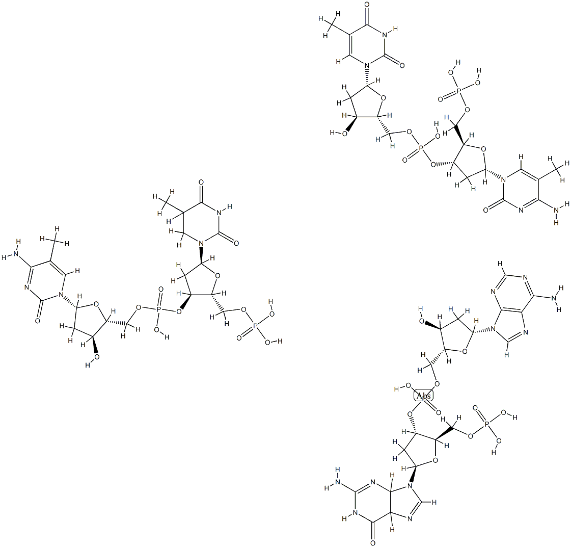 poly(d(Tm(5)C)).poly(d(GA)).poly(d(m(5)CT)) Structure