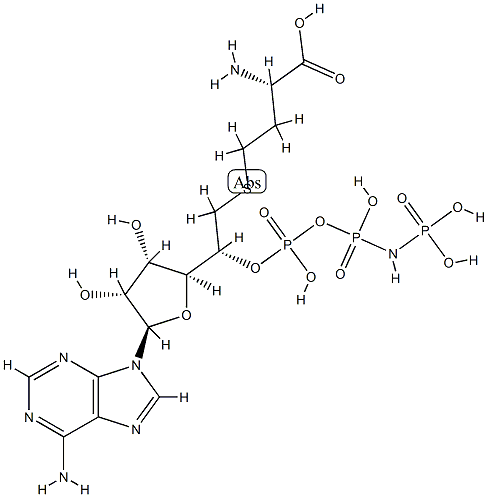 5'-((homocysteinyl)methyl)adenosine 5'-(beta,gamma-imidotriphosphate) Structure