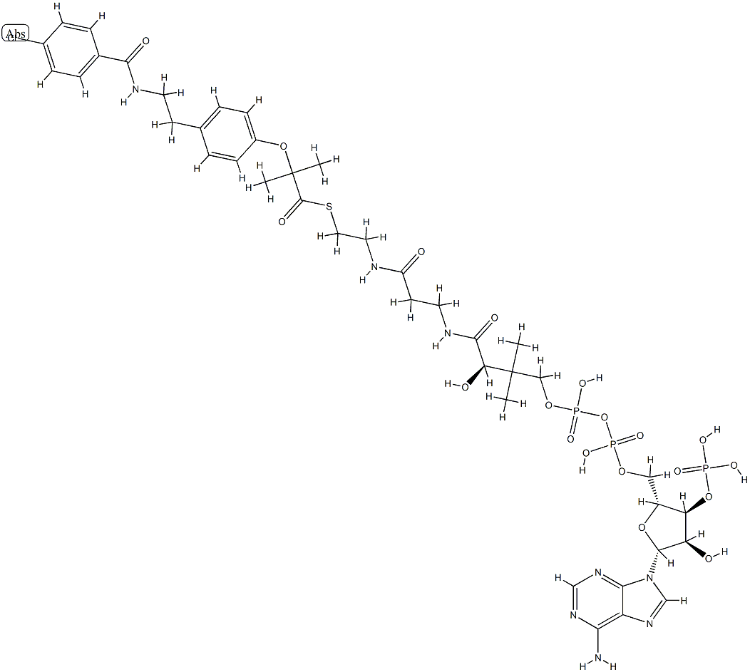 bezafibroyl-coenzyme A Structure