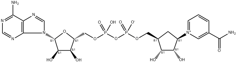 carbanicotinamide adenine dinucleotide 구조식 이미지