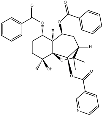 Regelidine Structure