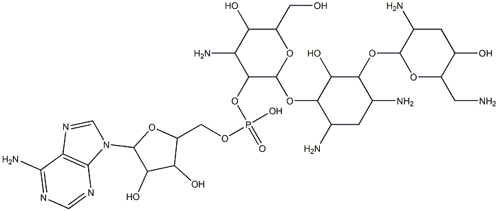 2''-(adenosine-5'-phosphoryl)tobramycin Structure