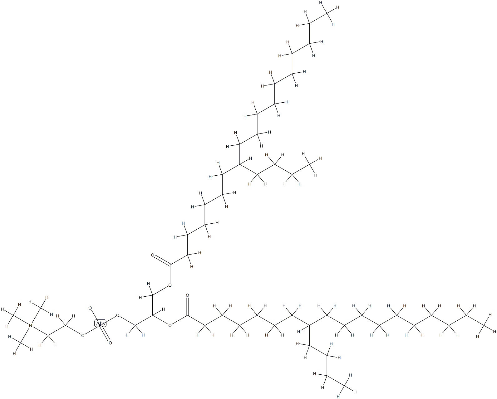 디-(8-n-부틸스테아로일)포스파티딜콜린 구조식 이미지