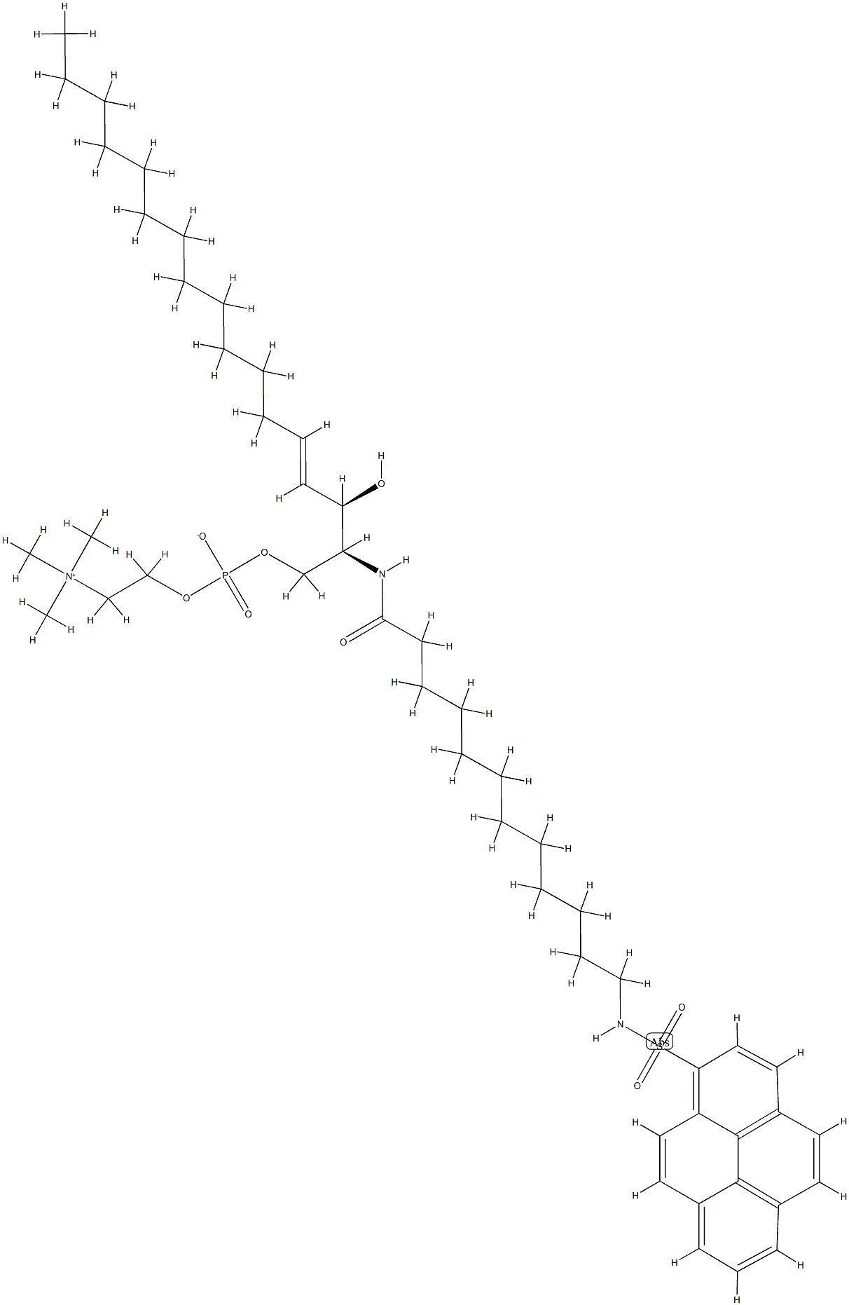 N-(12-((1-피렌설포닐)아미도)도데카노일)스핑고실포스포릴콜린 구조식 이미지