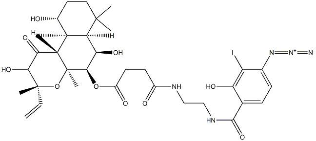 3'-iodo-4'-azidosalicylamidoethylamido-7-succinyldeacetylforskolin 구조식 이미지