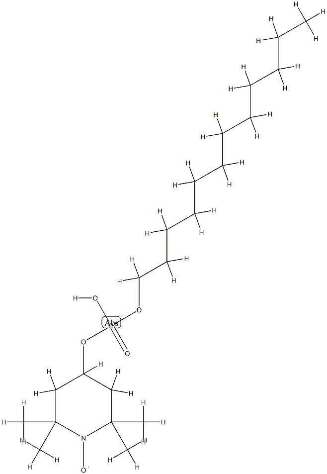 AN 12 Structure