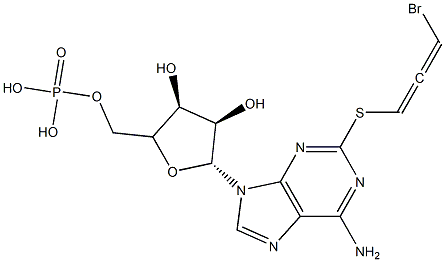 2-((3-bromo-2-oxopropyl)thio)-adenosine 3'5'-cyclic monophosphate Structure