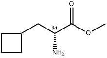 Cyclobutanepropanoic acid, α-amino-, methyl ester, (αR)- Structure