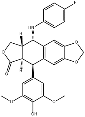 NPF-etoposide Structure