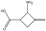 2-Amino-3-methylene-cyclobutanecarboxylic acid Structure