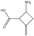 2-Amino-4-methylene-cyclobutanecarboxylic acid 구조식 이미지