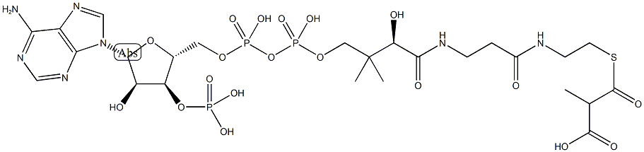 메틸말로닐-코엔자임A 구조식 이미지