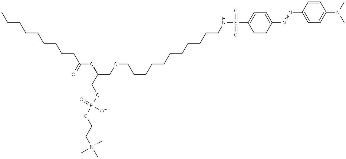 1-O-(N-dabsyl-11-amino-1-undecyl)-2-O-decanoylphosphatidylcholine Structure