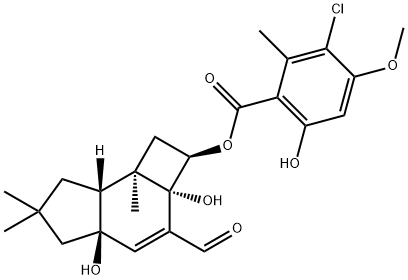 armillarinin Structure