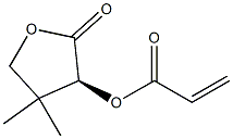 2-Propenoic acid, (3S)-tetrahydro-4,4-dimethyl-2-oxo-3-furanyl ester Structure