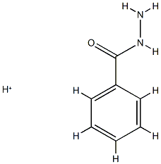 Benzoic  acid,  hydrazide,  conjugate  monoacid  (9CI) Structure
